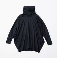 CHAW23-4007　SQUID-T
