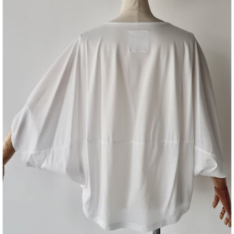 CHSS25-5109  BUTTERFLY-T