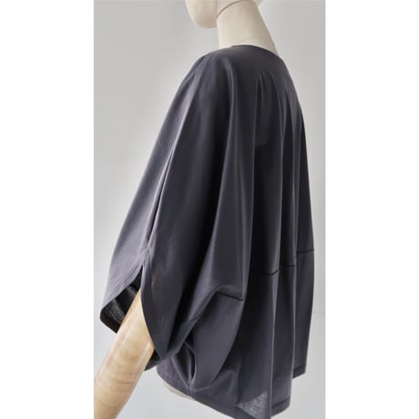 CHSS25-5109  BUTTERFLY-T