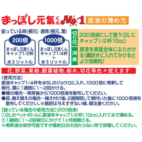 植物活性酵素まっぽし元氣くんMG1