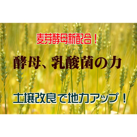 天然活性有機液肥まっぽし元氣くん２０Ｌ
