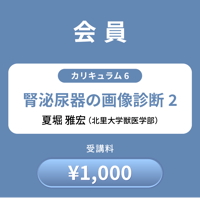 【会員】06.腎泌尿器の画像診断２