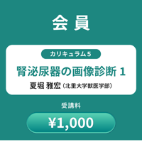 【会員】05.腎泌尿器の画像診断１