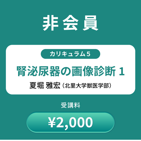 日本獣医腎泌尿器学会 2024年度オンライン認定講習会