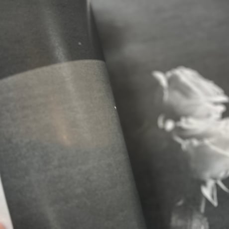 【ONE DAY】間峠武蔵 ZINE ゆりかご ２号〜５号