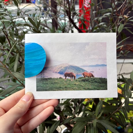 pon labo ZINE『日々、島をゆく』