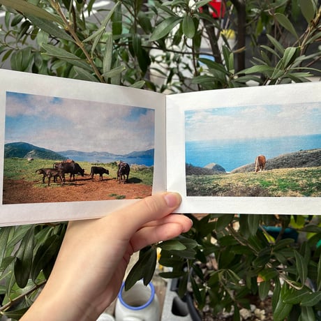 pon labo ZINE『日々、島をゆく』