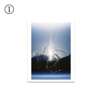 遠藤春香 写真作品 Type C print ①〜⑤