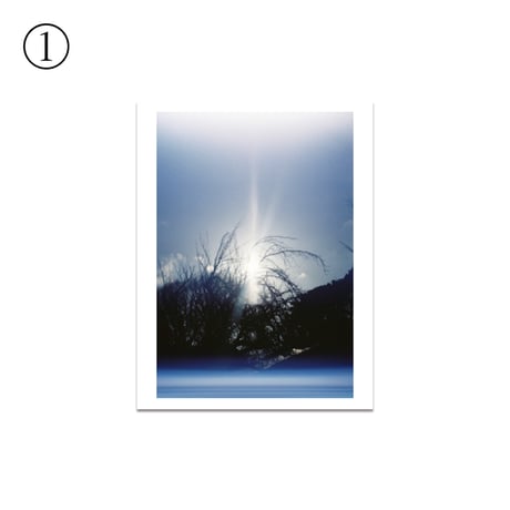 遠藤春香 写真作品 Type C print ①〜⑤