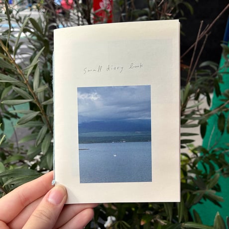 risa kawakubo ZINE『small diary book』