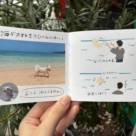 ワキカホ ZINE『わたしは、リッチ。』