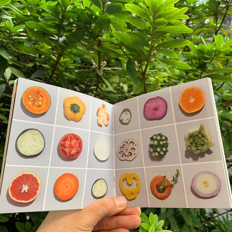 佐藤ぶらお ZINE『そざい派 もしかしたら役に立つかもしれない素材集』