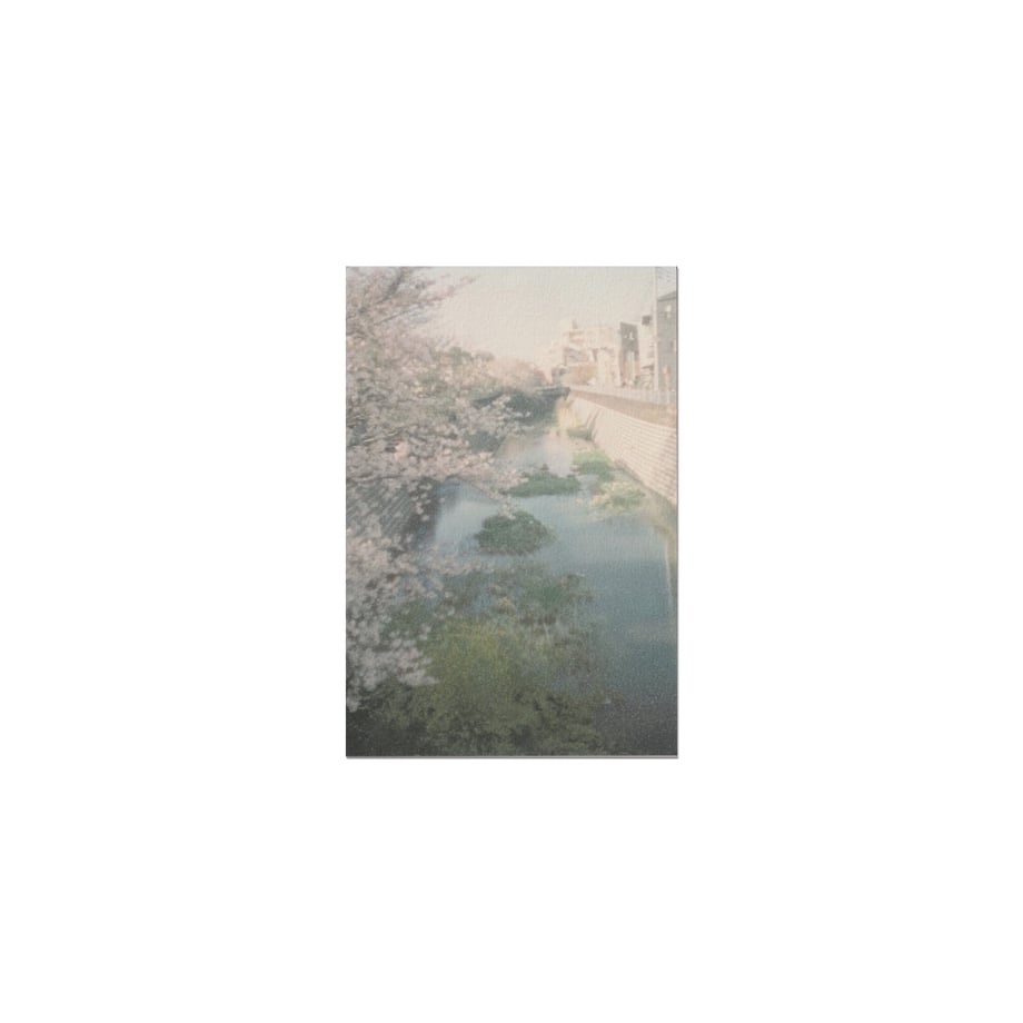 6a3bdb7c3a6cff57d37e70cd