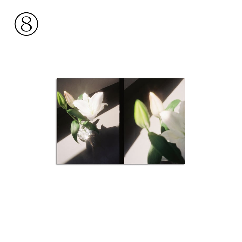 6a3bdb06a89fa54d725a6653