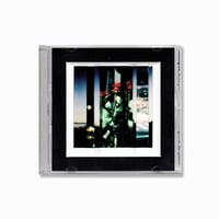 間峠武蔵・ポラロイド作品『untitled #1』