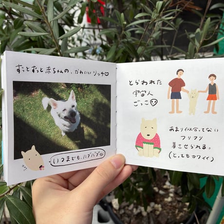 ワキカホ ZINE『わたしは、リッチ。』