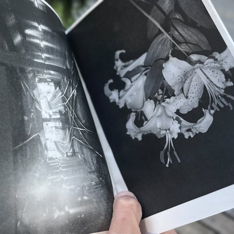 【ONE DAY】間峠武蔵 ZINE ゆりかご ２号〜５号