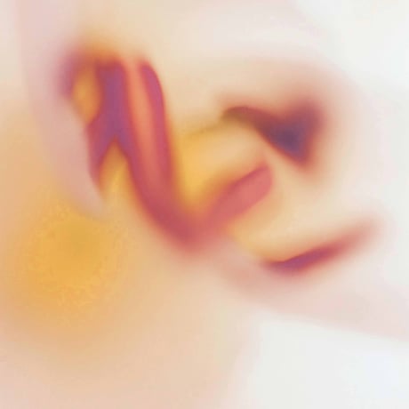 遠藤春香 写真作品 Type C print ①〜⑤