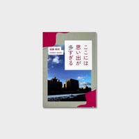 Midori Endo  ZINE『ここには思い出が多すぎる』