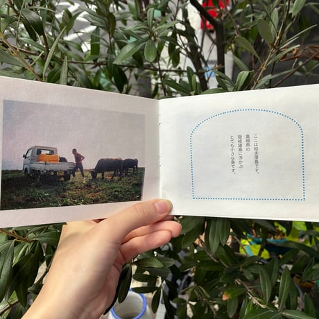 pon labo ZINE『日々、島をゆく』
