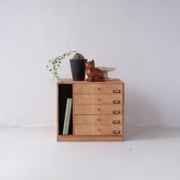 縦長の収納部を備えた実用的な5杯の小抽斗/st.1035