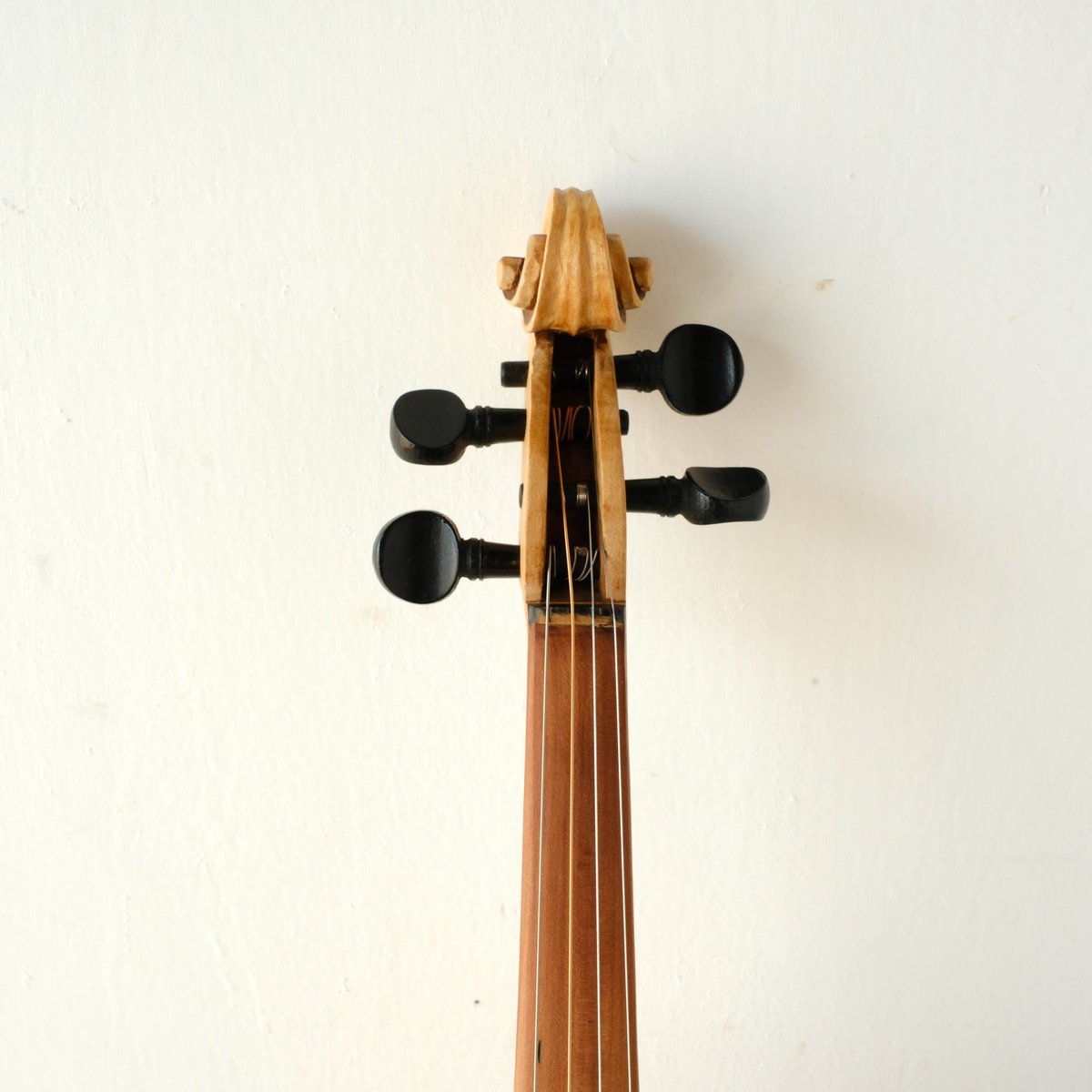バイオリン 本体 ハードケース付き 楽天市場】全30色 EASTMAN イーストマン / バイオリンハード