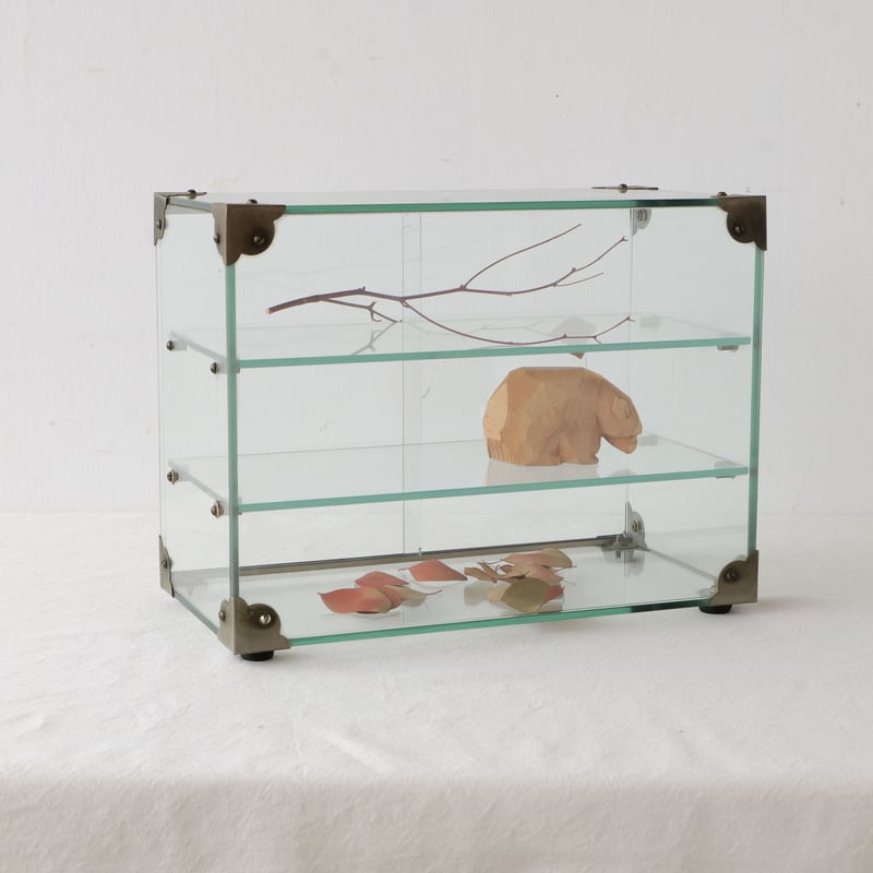 昔ながらのガラスショーケースはインテリアの名脇役/st.781