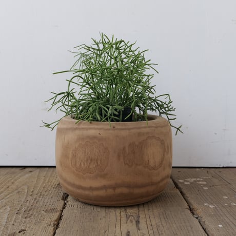 くり貫き火鉢/ Green pot / st.477 A&B