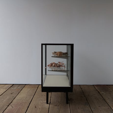 Iron frame 脚付きショーケース brown/全国配送◎ /店舗引取◎