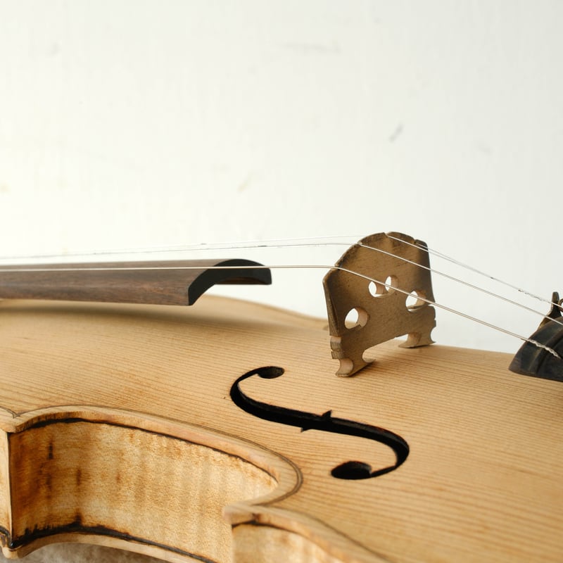 トラ目が美しいバイオリンオブジェ・ハードケース/棒付き/st.760