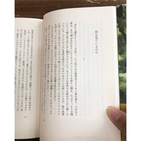 梨木香歩／小さな神のいるところ