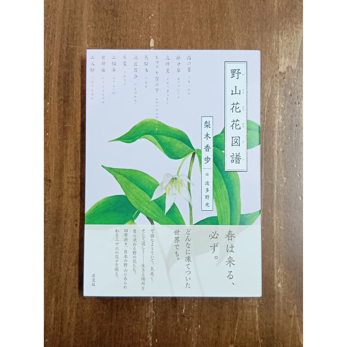 梨木香歩 波多野光＝絵／野山花花図譜 | Title WEB SHOP