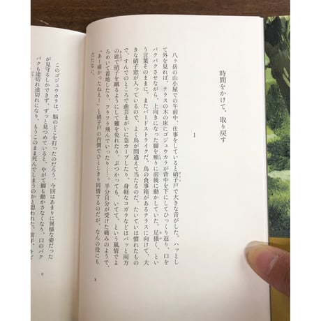 梨木香歩／小さな神のいるところ