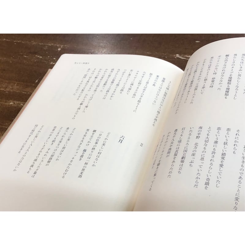 宮崎治=編／茨木のり子全詩集 新版 | Title WEB SHOP