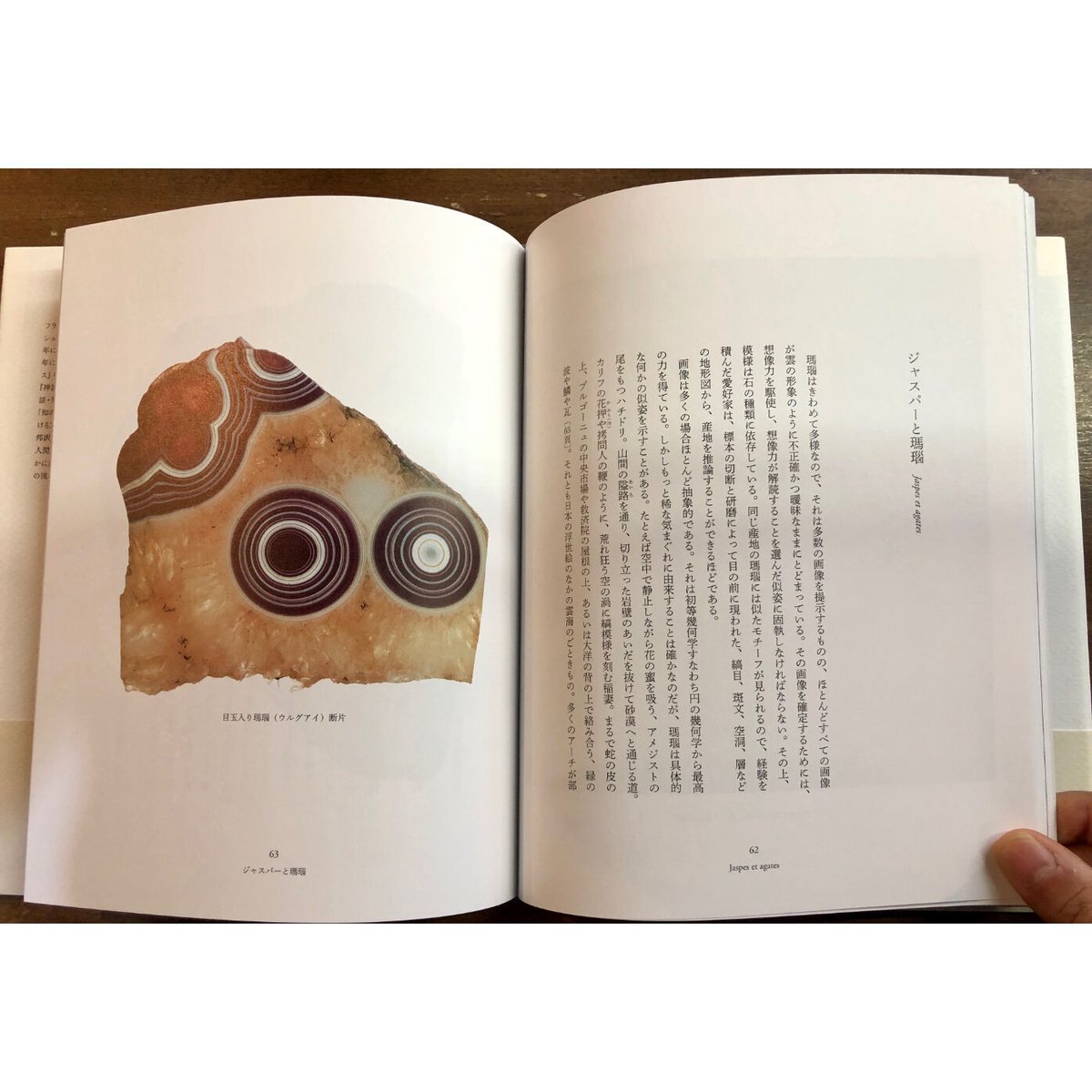 ロジェ・カイヨワ／石が書く | Title WEB SHOP
