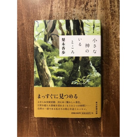 梨木香歩／小さな神のいるところ