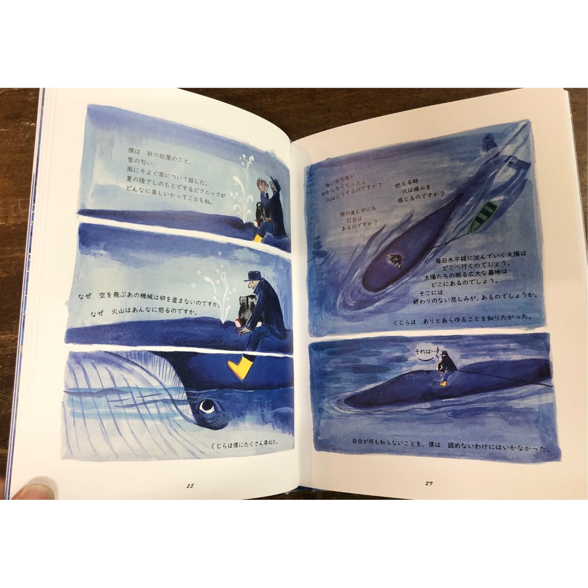 駿河記 絵図集成 桑原藤泰 シドルー・作 ユディット・ファニステンダール・絵/くじら
