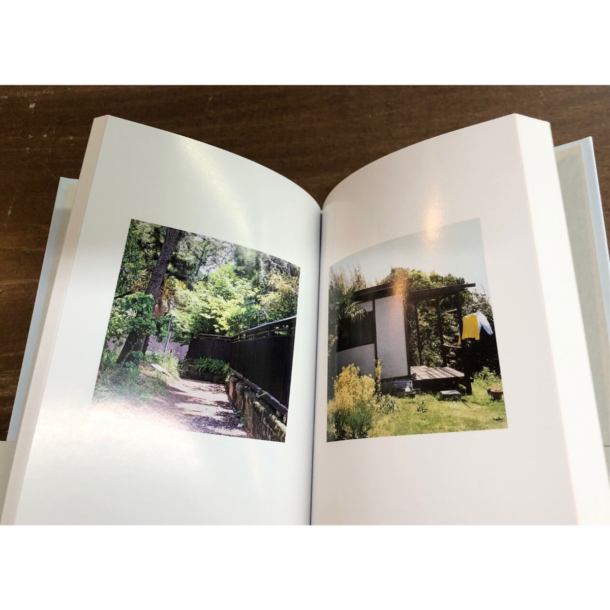 【希少 入手困難】夏みかんの午後 Sunlight books 希少 入手困難】夏みかんの午後 Sunlight books