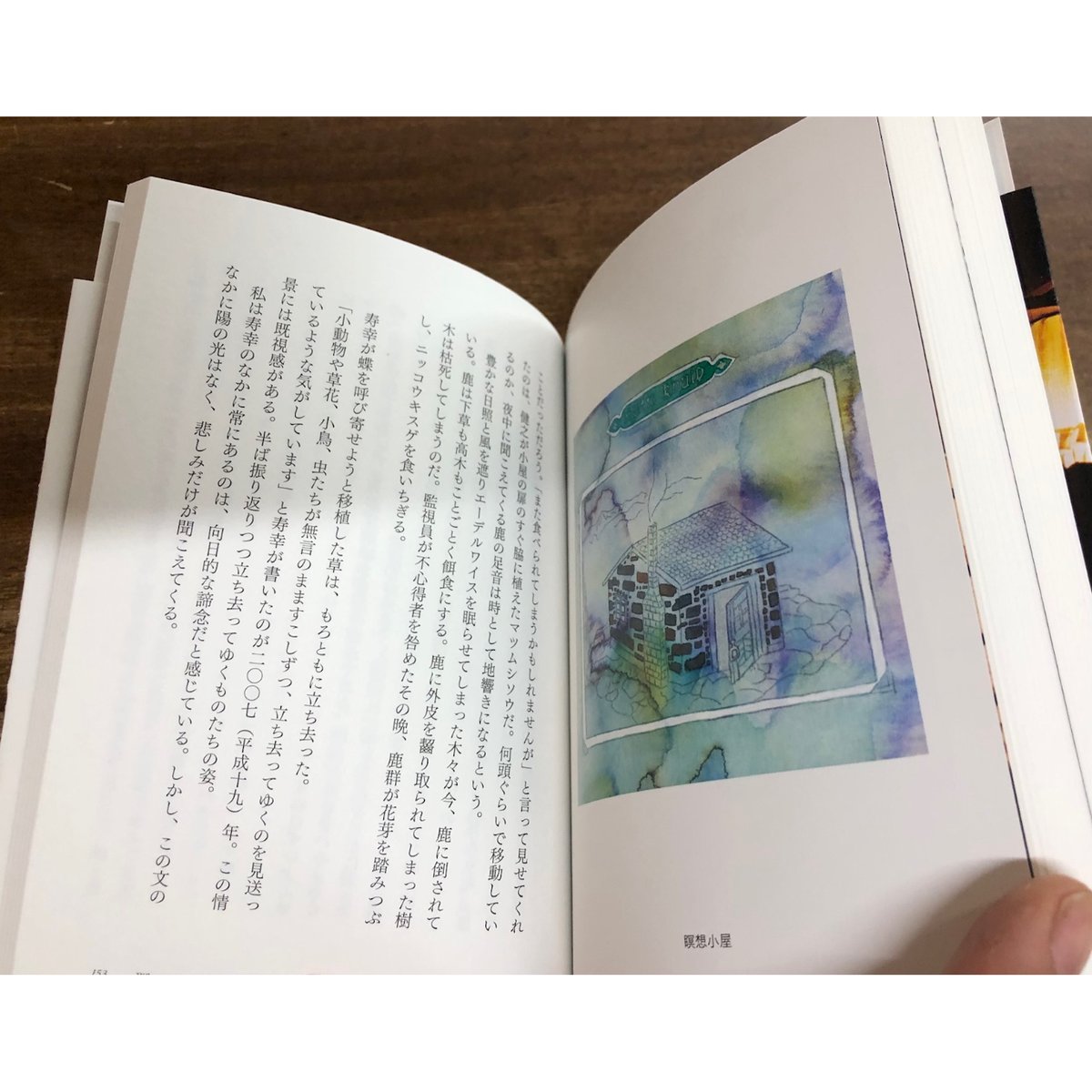 山の家クヌルプ　エクリ　野川かさね 山の家 クヌルプ | 曲線