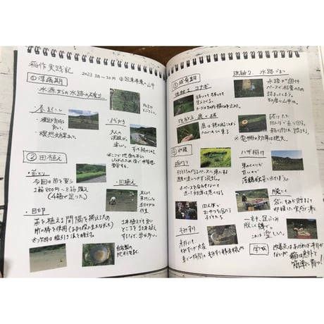 『新百姓』2号　「米をくう」