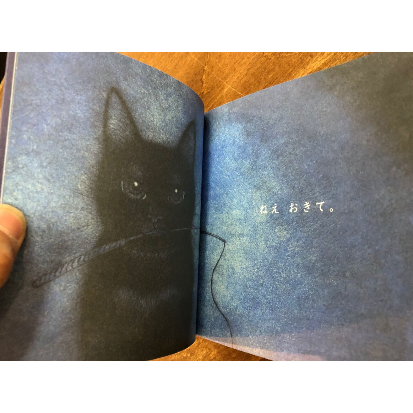 坂本千明／ねこのねえ ＊著者サイン入り | Title WEB SHOP