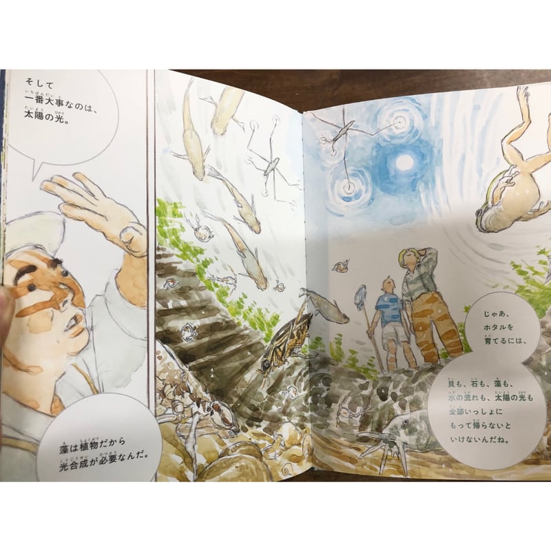 大地の花 ネパール人々のくらしと祈り 公文健太郎写真集 大地の花: ネパール人々のくらしと祈り : 公文健太郎写真集