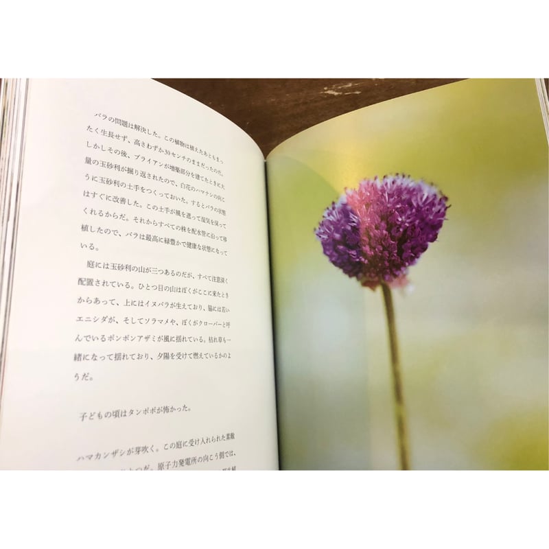 デレク・ジャーマン／デレク・ジャーマンの庭 | Title WEB SHOP