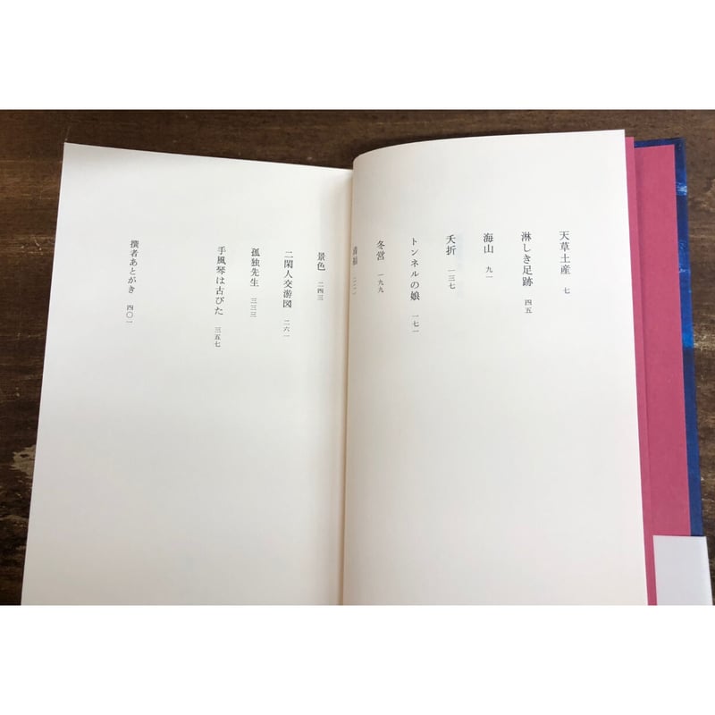 著：上林暁、撰：山本善行／上林暁傑作小説集 孤独先生 | Title WEB SHOP