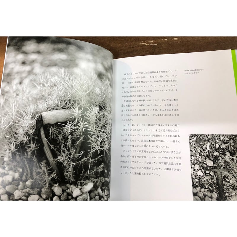 デレク・ジャーマン／デレク・ジャーマンの庭 | Title WEB SHOP