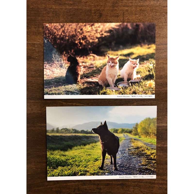 奥山淳志／動物たちの家 | Title WEB SHOP