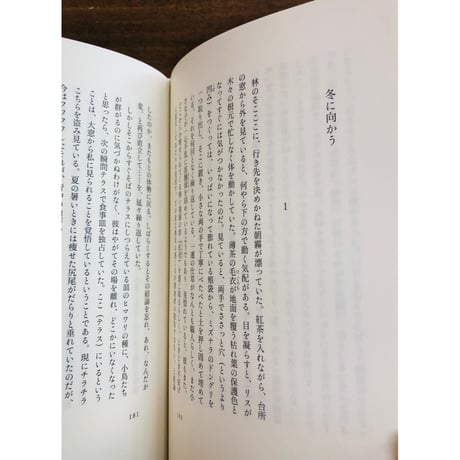 梨木香歩／小さな神のいるところ