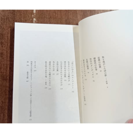 堀江敏幸／魔法の石板 ジョルジュ・ペロスの方へ