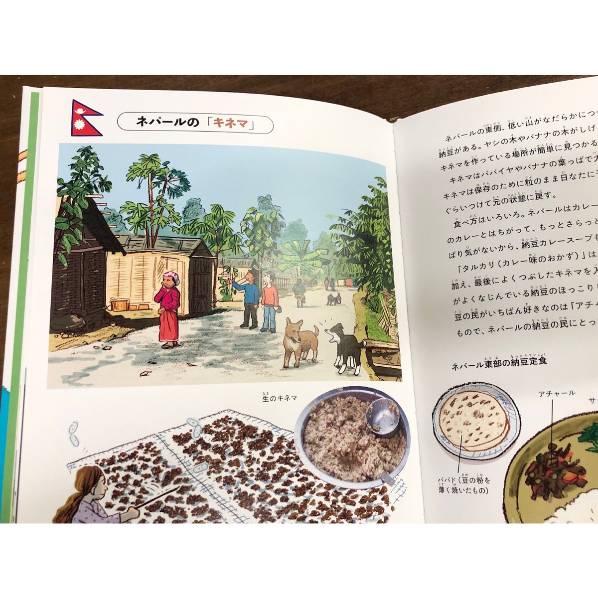 高野秀行 スケラッコ／世界の納豆をめぐる探検 | Title WEB SHOP