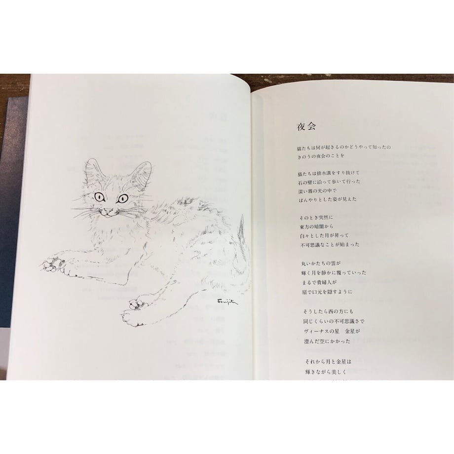 652cfe11e21785002e280ca7